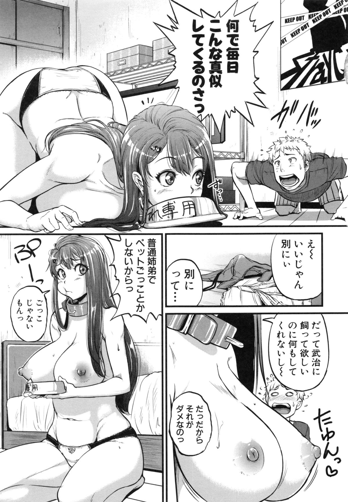 【エロ漫画】弟のアイスを食べてしまい姉弟喧嘩をするお姉さん…二人のときになると甘えて犬になる彼女は弟のチンポをご奉仕フェラしてお仕置きされてバックで生挿入され中出し絶頂イキしちゃう【とんのすけ：飼う飼うシスター！】