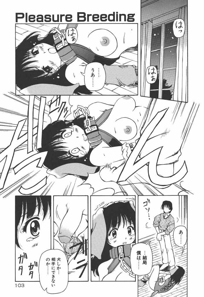 【エロ漫画】鎖で拘束されて調教さちゃう獣耳お姉さん…バイブ挿入されてバックで生ハメ中出しセックスで淫乱堕ちしちゃう【やすいひろさと：Pleasure Breeding】